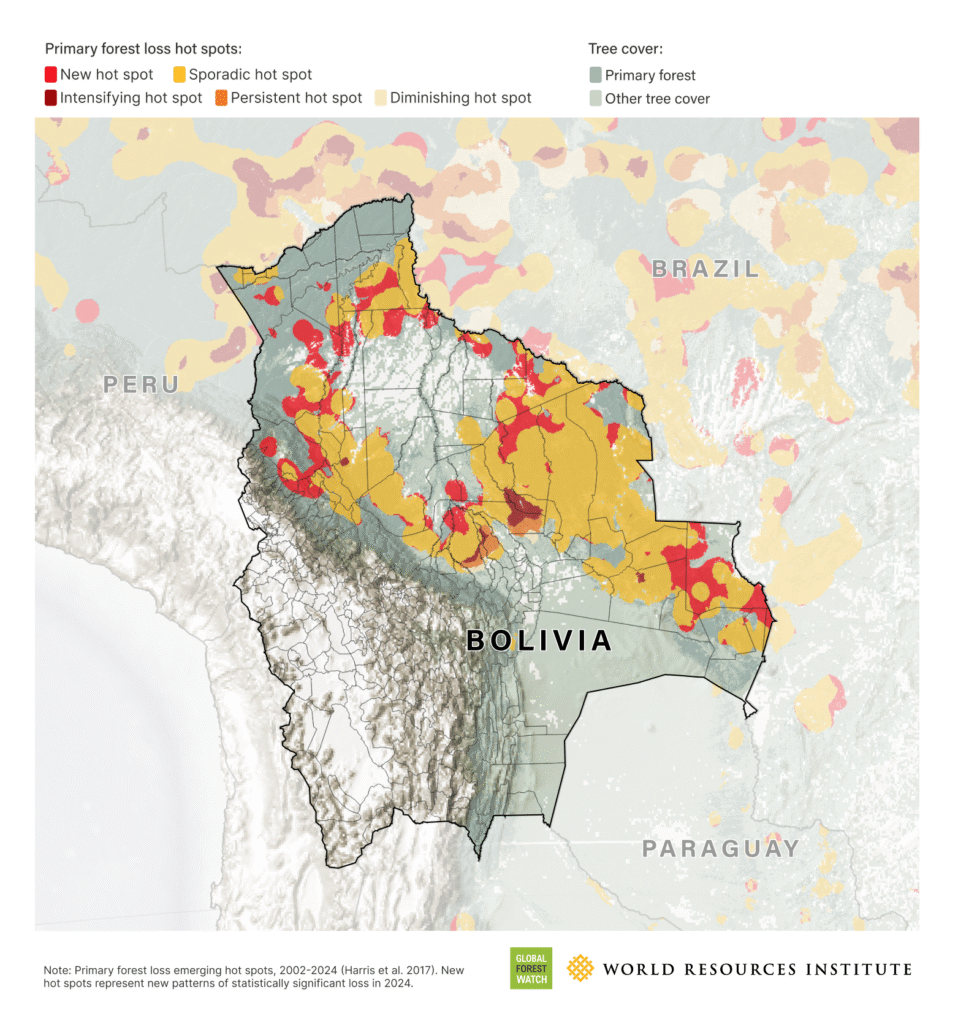 Bolivia skovbrande