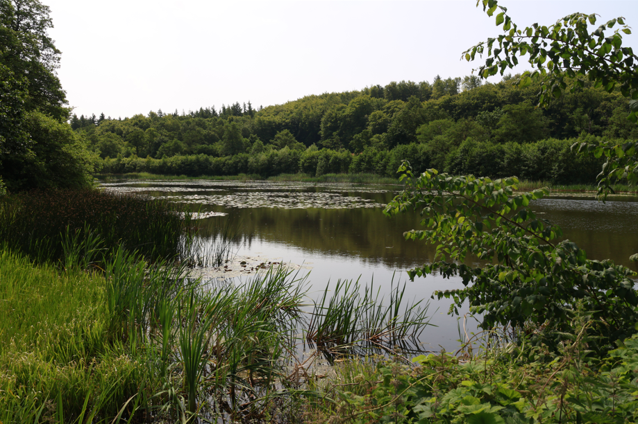 Fussingø