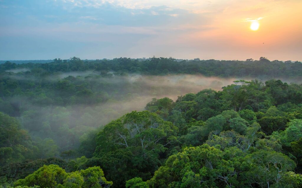 Amazonas solopgang