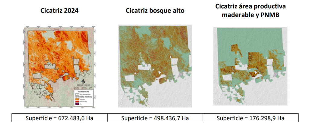 Grafik viser område berørt af skovbrande