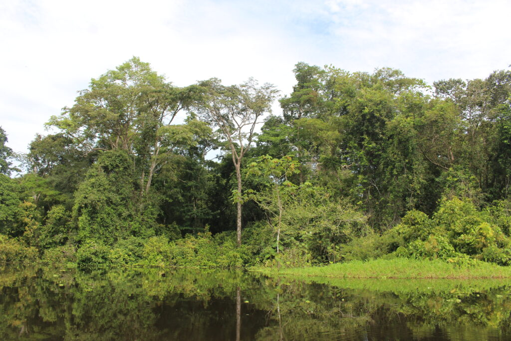 Floden i Amazonas med både på vand og tæt jungle langs bredden