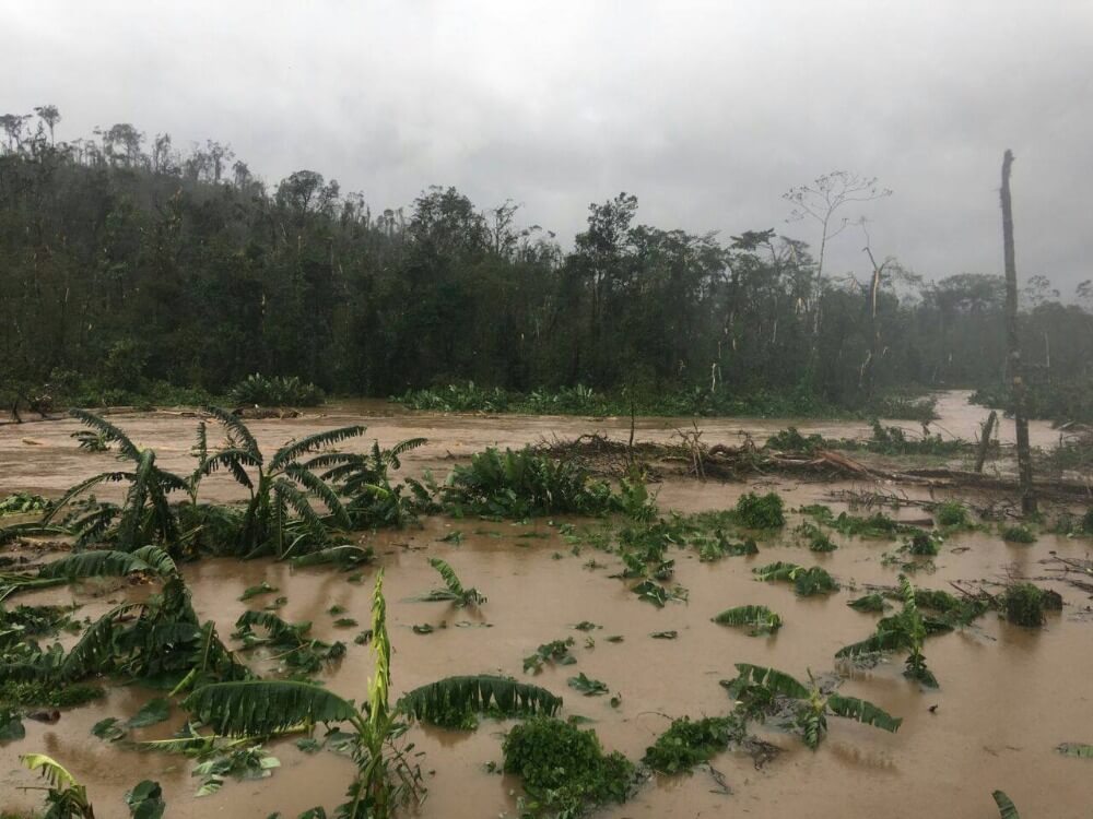 Oversvømmet flod, hvor vandet er gået over bredden, der illustrerer spørgsmålet ”Hvad hedder verdens vandrigeste flod?”