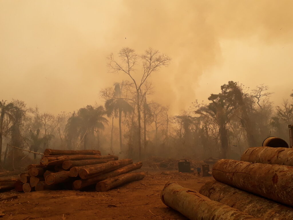 Symbolsk billede af kampen for Amazonas med regnskov, brand og aktivistisk budskab