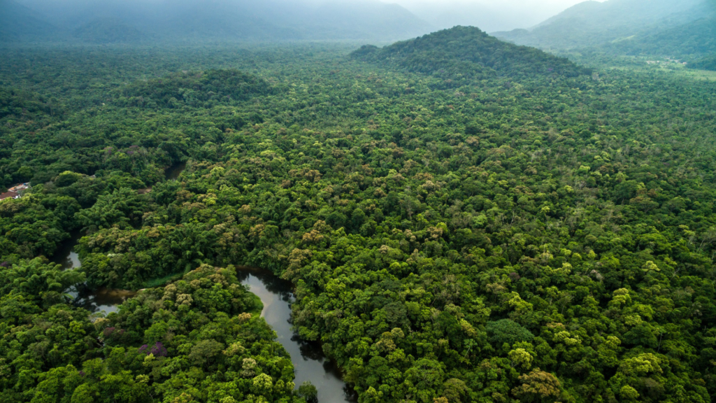 Verdens største flod i Amazonas, der fylder det meste af billedet og strækker sig langt mod horisonten.