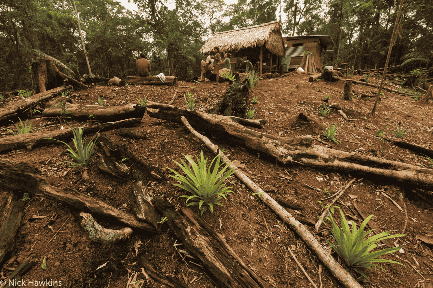 Oprindelige folk Nicaragua