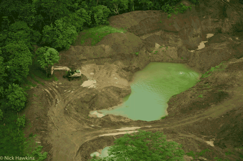 Nicaragua skovrydning