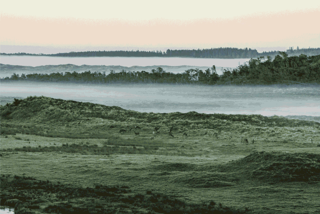 Nationalpark Thy, foto: Lars Laursen/Biofoto/Ritzau Scanpix