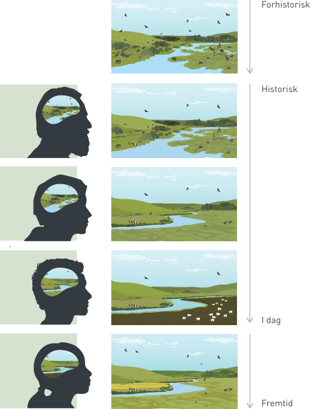 Tab af visioner for vild natur. I takt med at naturen forarmes, sker der fra
ge neration til generation et tab af vores naturforståelse. Vores forestillingsevne præ ges
af vores oplevelser gennem vores barndom og ungdom. Det præger vores tilgang til
naturbeskyttelse og naturgenopretning, og vi kommer ubevidst til at acceptere en for
armet og degraderet natur som målet for vores forvaltning. Det kaldes ”shifting
baseline syndrome”.