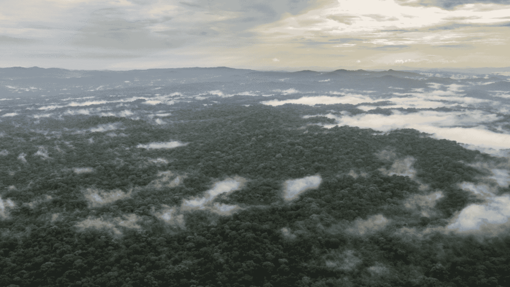 Nicaragua Indio Maiz Selva